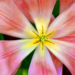 助企业更上进的网站攻击测试